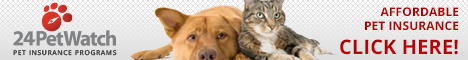 Protect your pet. ShelterCare Pet Insurance Programs.