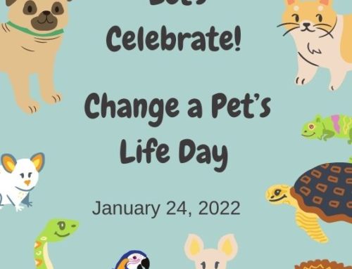 Change a Pet’s Life Day