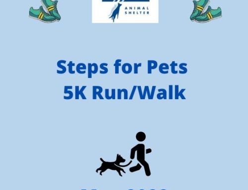 Steps for Pets 2022